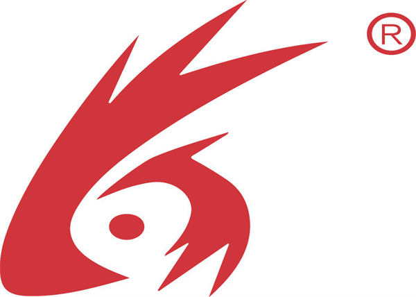 公司简介