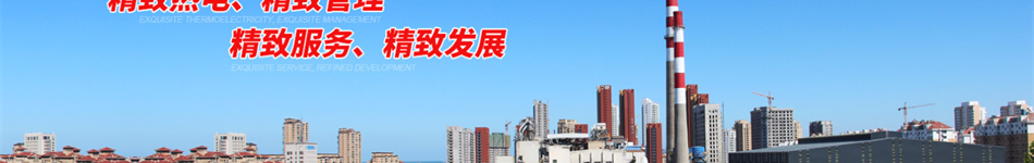 威海热电集团有限公司