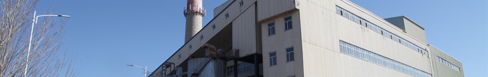 黑龙江龙唐电力投资有限公司大庆供热分公司