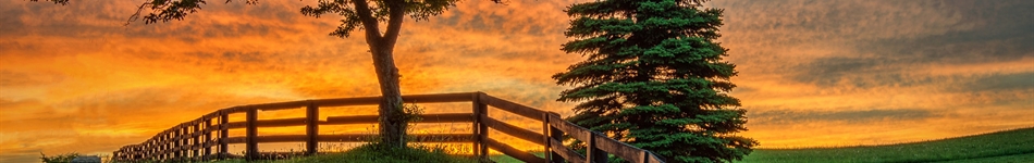 远齐测试请勿删除