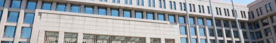 国家电投集团东北电力有限公司