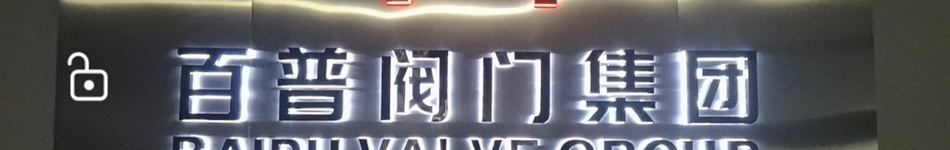 百普阀门集团有限公司