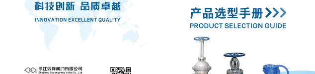 浙江双洋阀门有限公司
