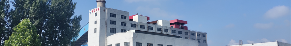 临朐县西城热电有限公司