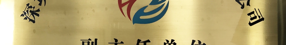 深圳市前海能源科技发展有限公司