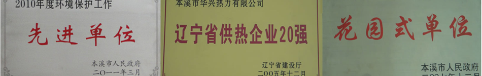 辽宁华兴热电集团有限公司