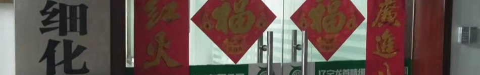 辽宁龙首精细化工有限公司