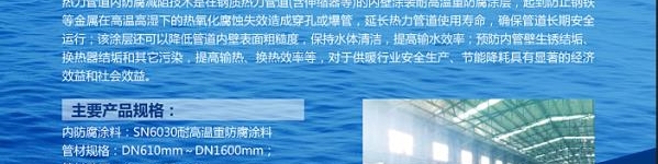 上海海隆赛能新材料股份有限公司