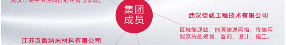 武汉德威工程技术有限公司