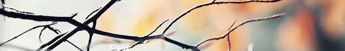 内蒙古巴彦淖尔富源热力有限责任公司