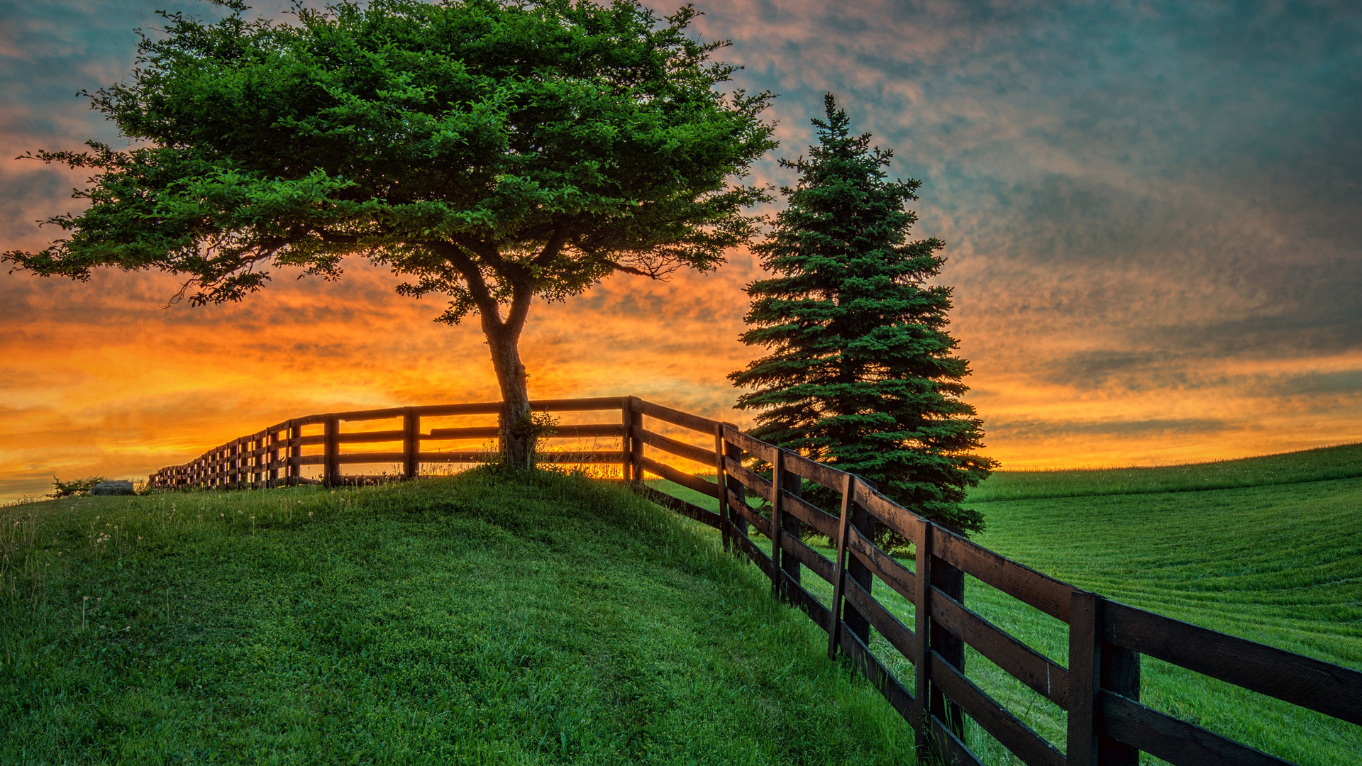 远齐测试请勿删除